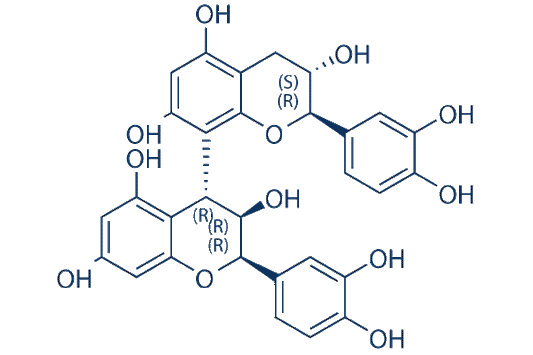 Procyanidin B1