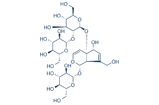 Rehmannioside D (Rhmannioside D)