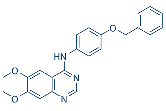 ErbB2 inhibitor