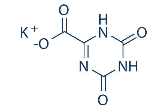 Potassium Oxonate (Oteracil Potassium)