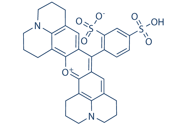 Sulforhodamine 101
