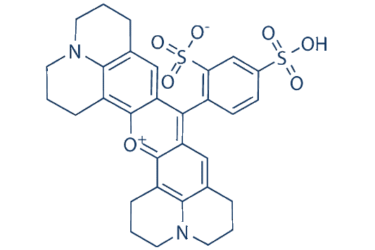Sulforhodamine 101