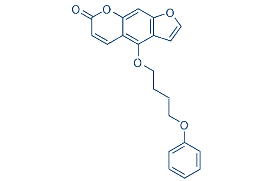 PAP-1