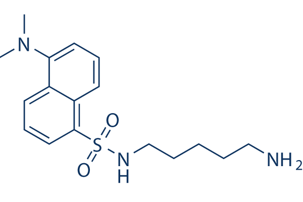 Dansylcadaverine&nbsp; (Monodansyl cadaverine)