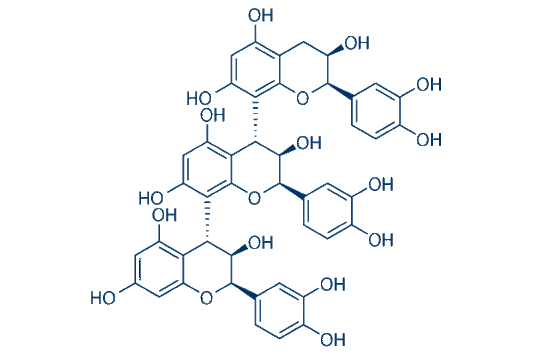 Procyanidin C1