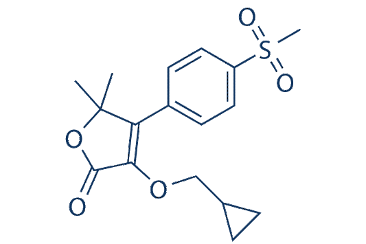 Firocoxib (ML 1785713)