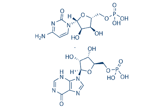 Poly (I:C)(Polyinosinic-Polycytidylic Acid)