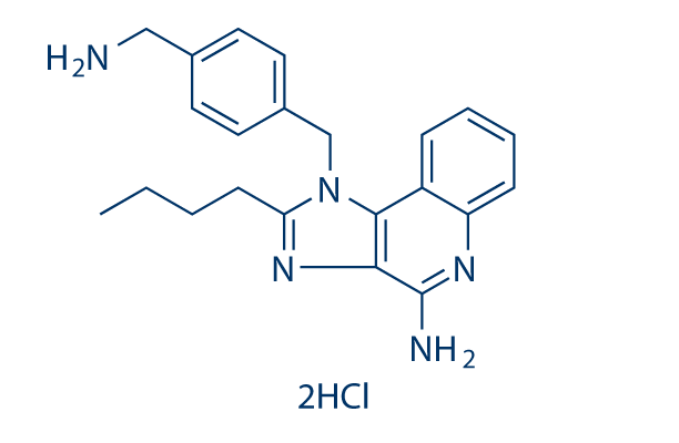 TLR7/8 agonist 1 dihydrochloride