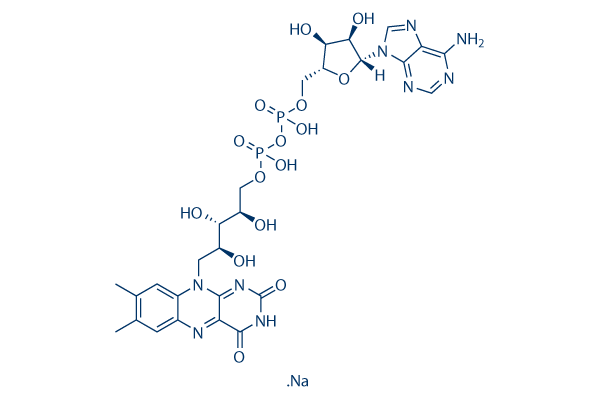 Flavin Adenine Dinucleotide Disodium