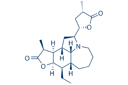 Neotuberostemonine