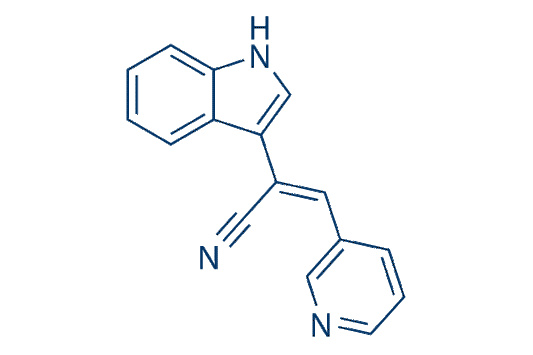 Paprotrain