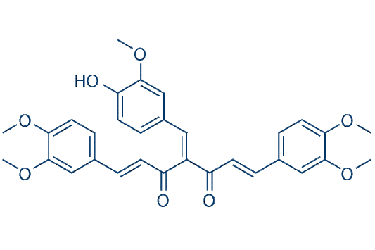 NF-κB-IN-1