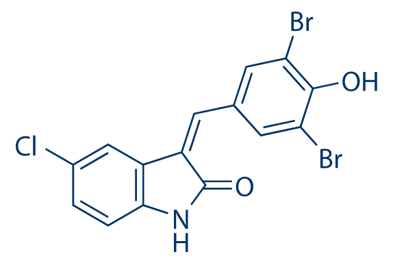 Raf inhibitor 2