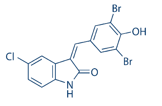 Raf inhibitor 2
