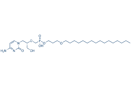 Brincidofovir