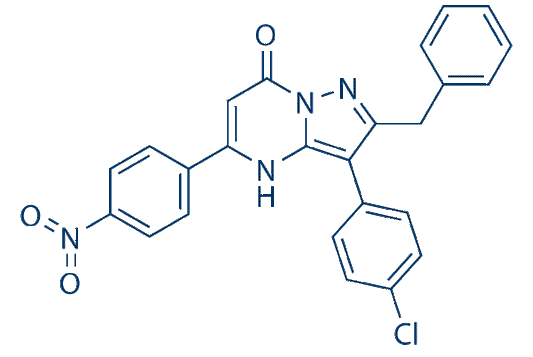 NAV-2729