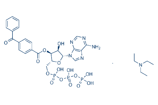 BzATP triethylammonium salt