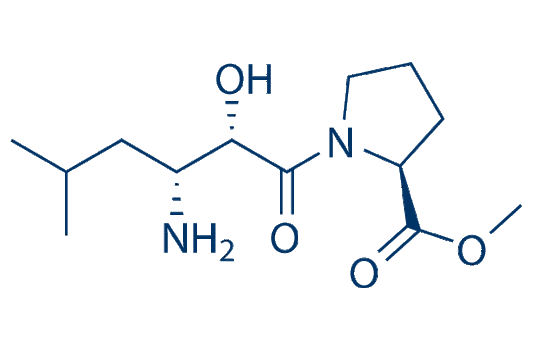 CQ31