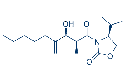 LMT-28