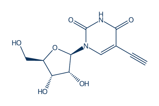 5-Ethynyluridine