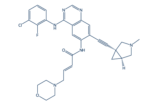BDTX-1535