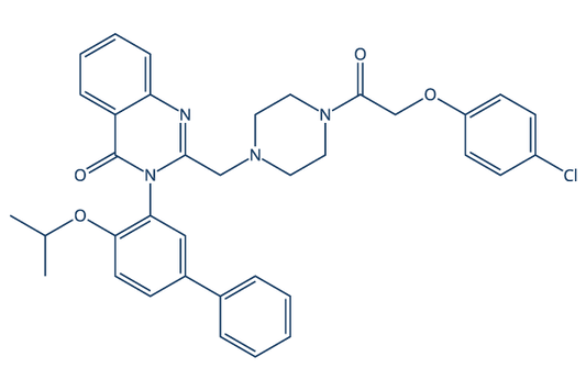 Erastin2