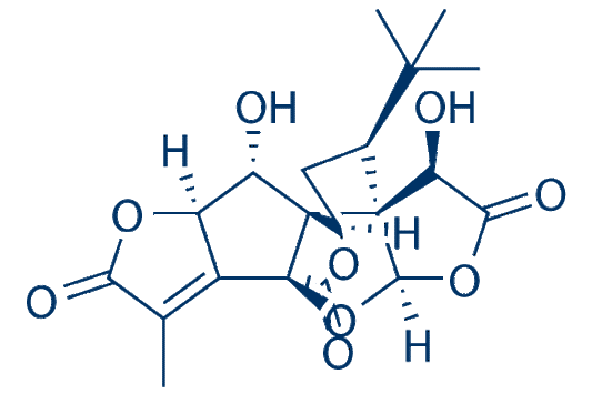 Ginkgolide&nbsp;K