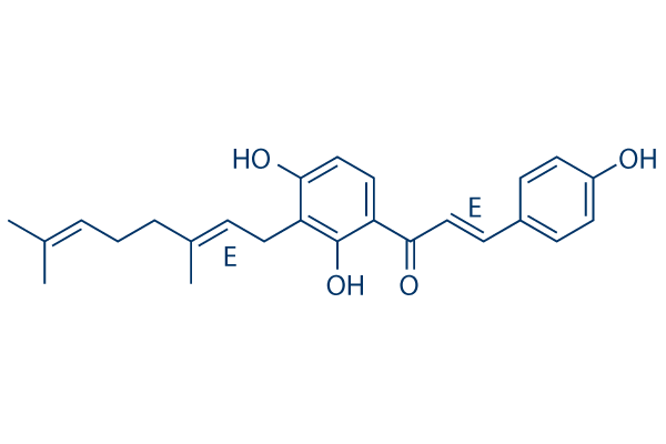 Xanthoangelol