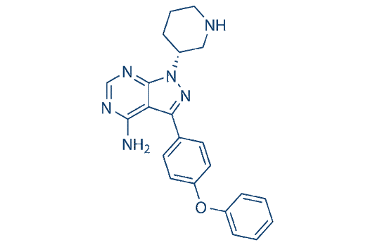 IBT6A