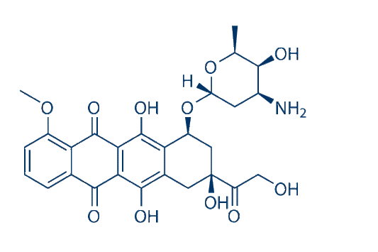 Doxorubicin