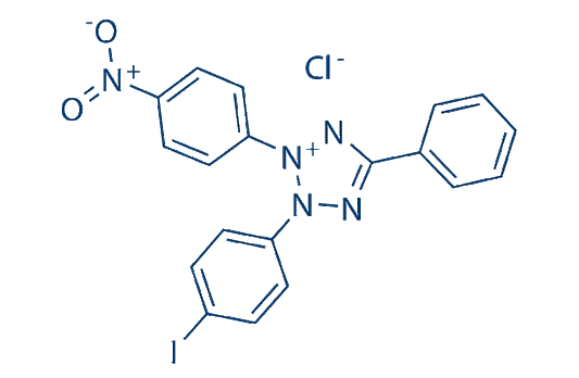 Iodonitrotetrazolium chloride