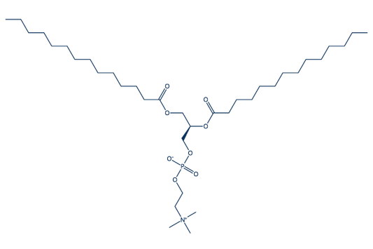 dimyristoyl lecithin