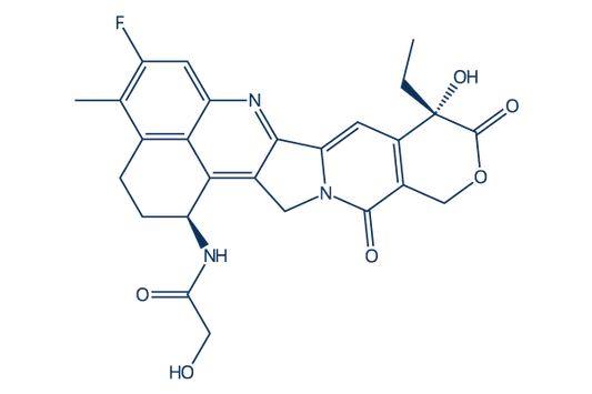 Absource Antibody-Drug-Conjugates