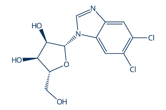 5,6-Dichlorobenzimidazole 1-beta-D-ribofuranoside