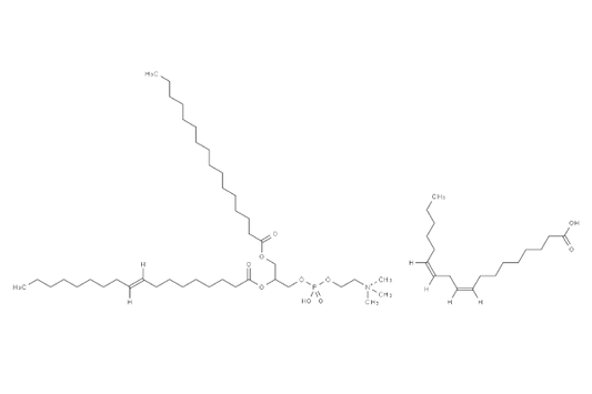 Fat Emulsion (20%)
