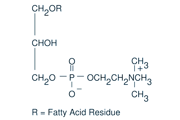 Lysophosphatidylcholines