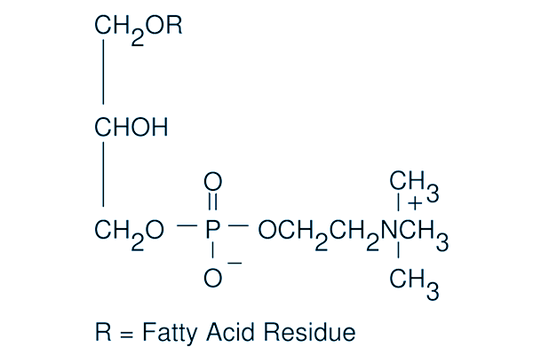 Lysophosphatidylcholines