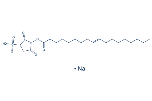 Sulfosuccinimidyl Oleate Sodium (SSO)