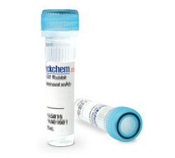 Cassia seed Extract