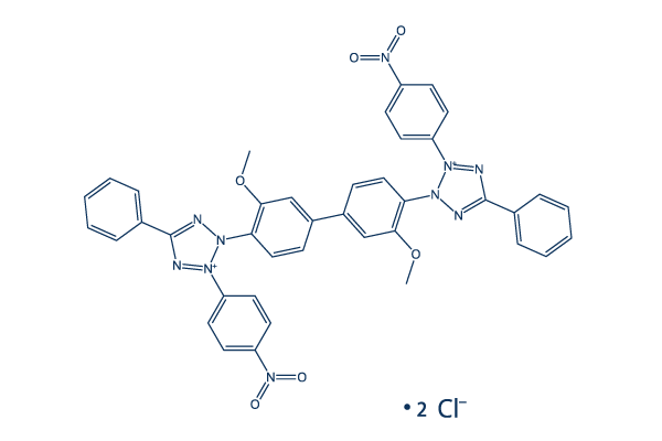 Nitrotetrazolium Blue chloride