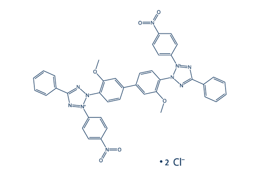 Nitrotetrazolium Blue chloride