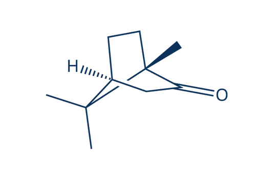 (-)-CAMPHOR