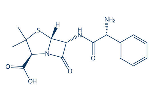 Ampicillin