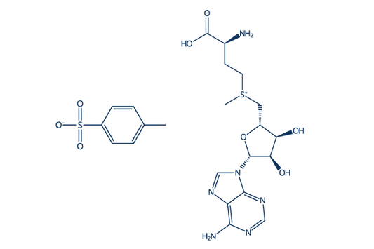 S- (5'-Adenosyl)-L-methionine p-toluenesulfonate salt