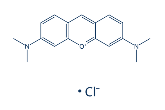 Pyronin Y