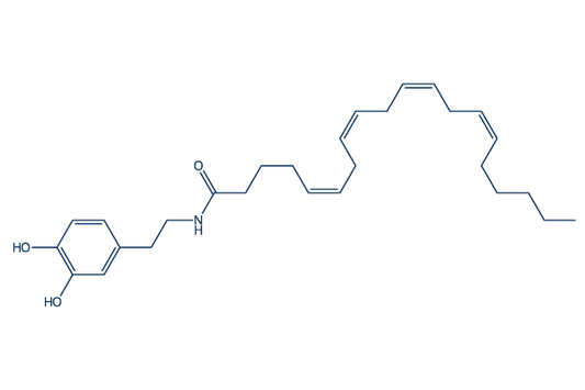 N-Arachidonyldopamine