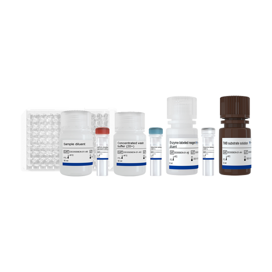EasyAna dsRNA (Modified) Quantitative Detection Kit (ELISA) 2.0