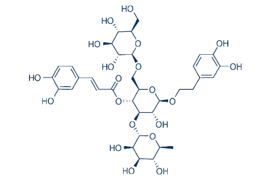 Echinacoside