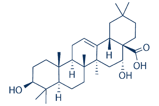Echinocystic acid