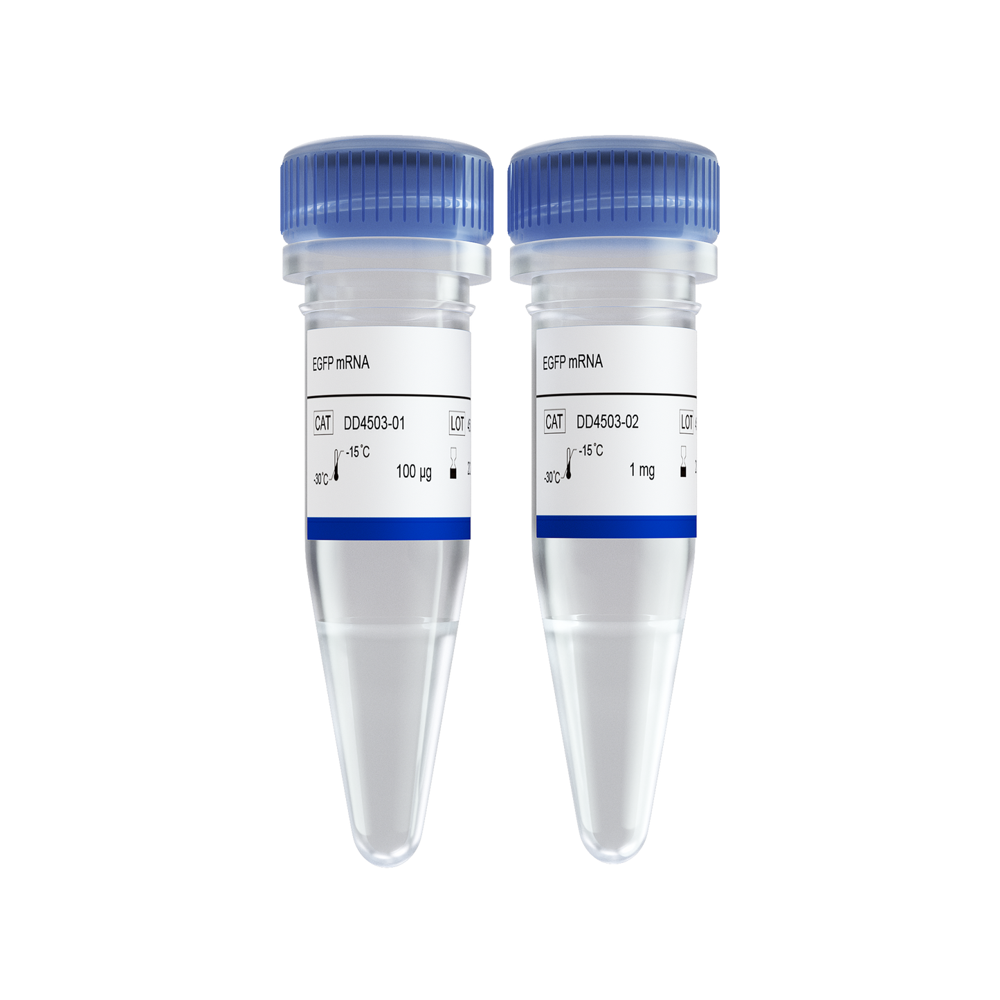 EGFP mRNA